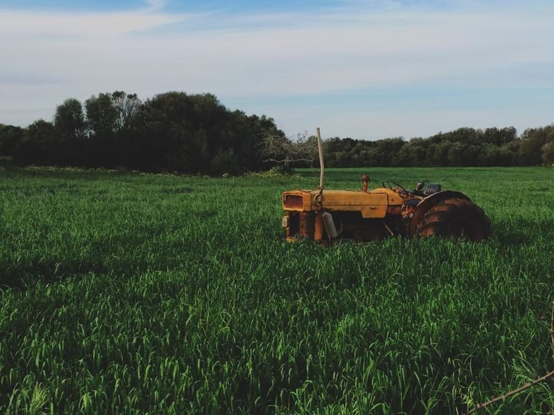 Farm Stays