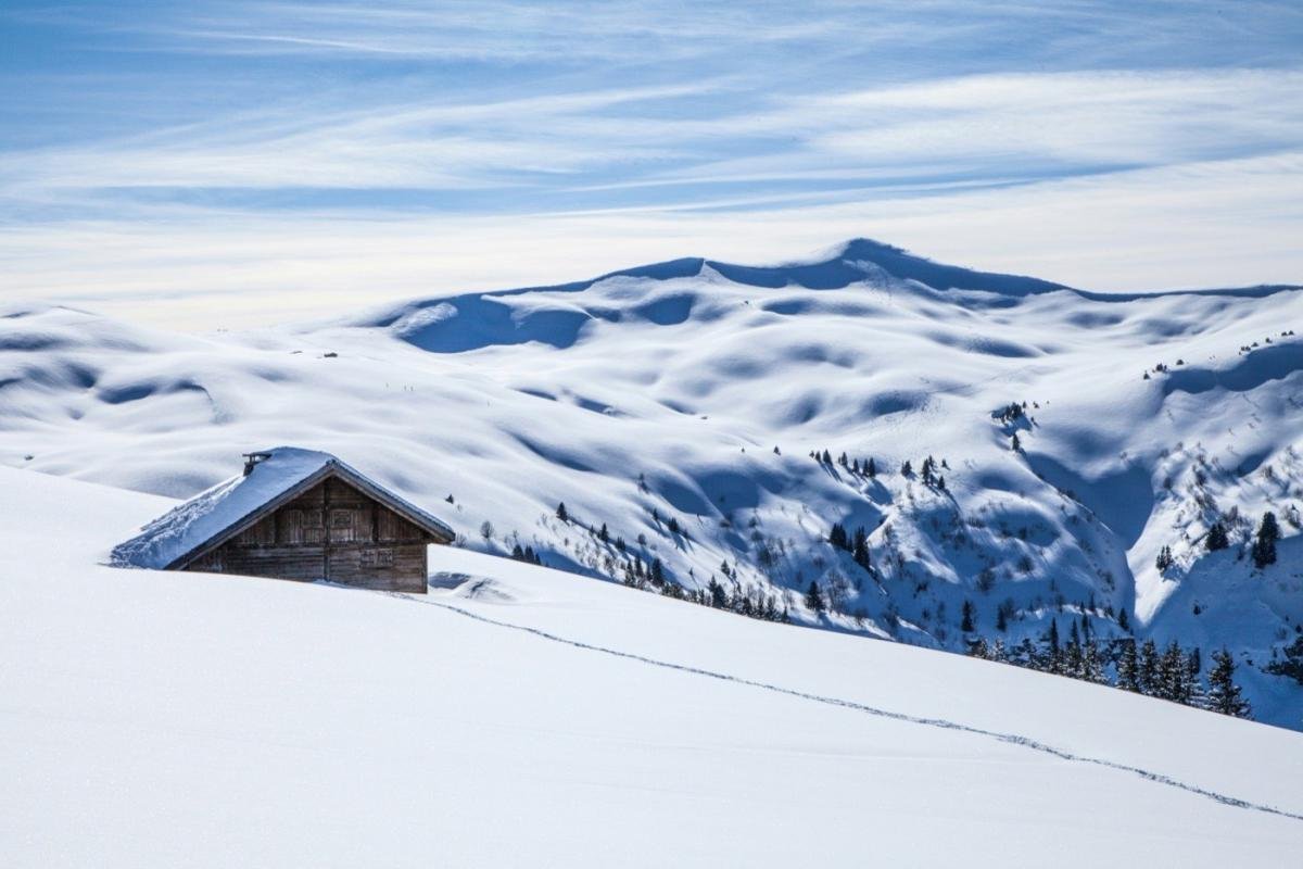 Rustic Mountain Cabin